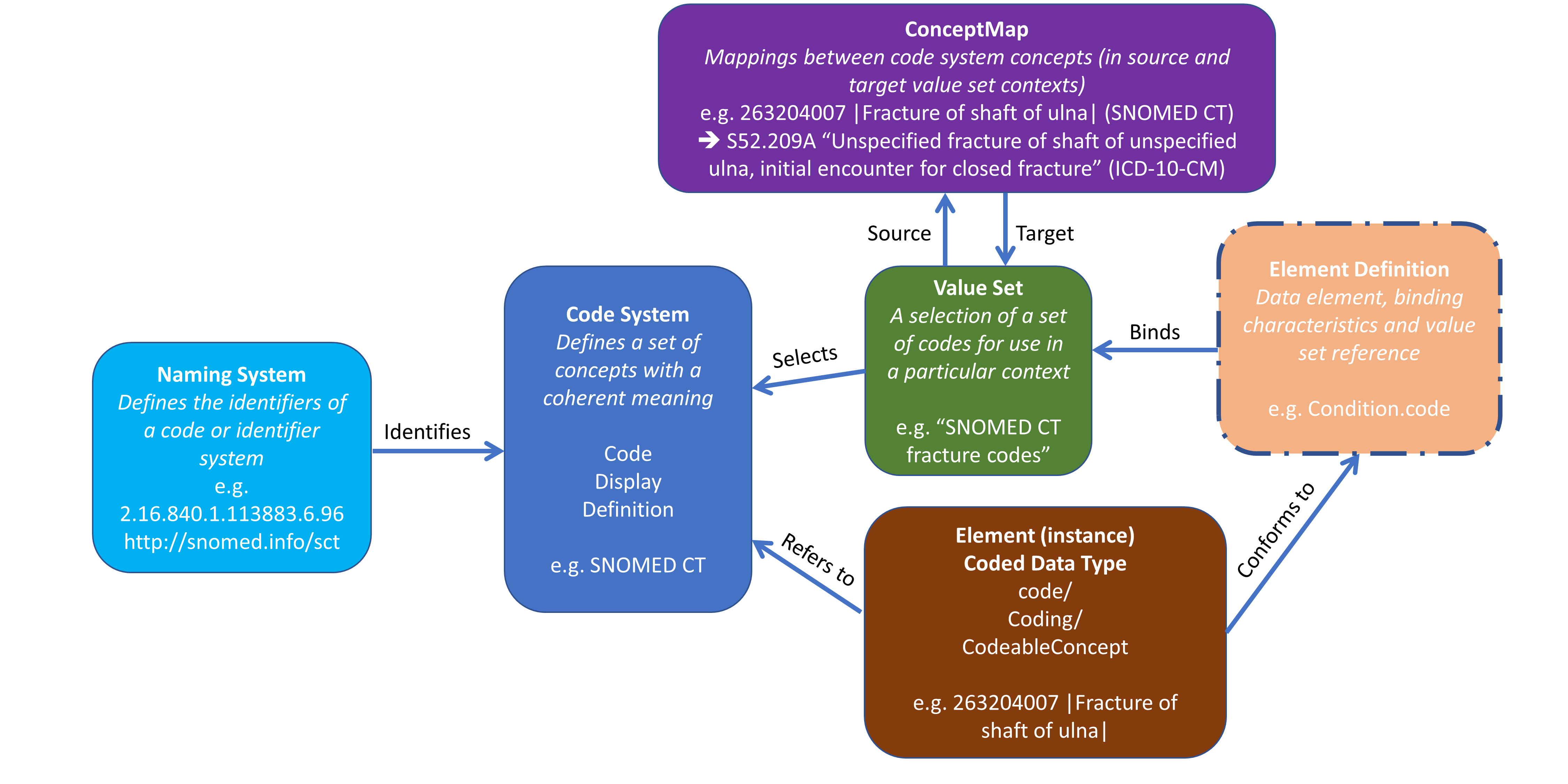 Terminology Module Relationships